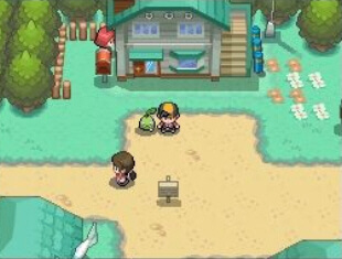 Pokémon HeartGold & SoulSilver 2010
