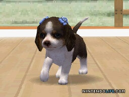 Nintendogs: Lab & Friends
