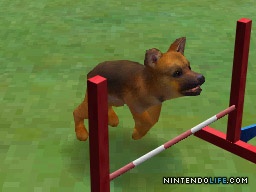 Nintendogs: Lab & Friends
