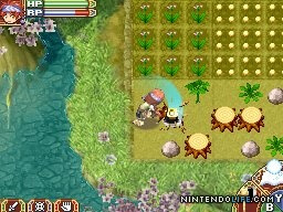 Rune Factory 2: A Fantasy Harvest Moon
